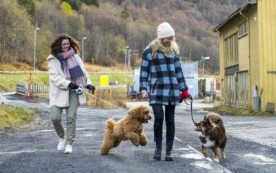 Målet er jobb til alle