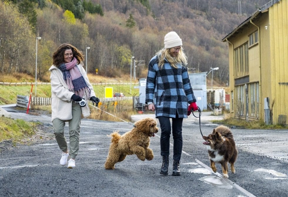 Bilde av to damer som går tur med hundene sine