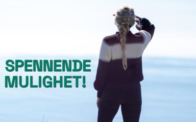 Vi søker Karriereveileder